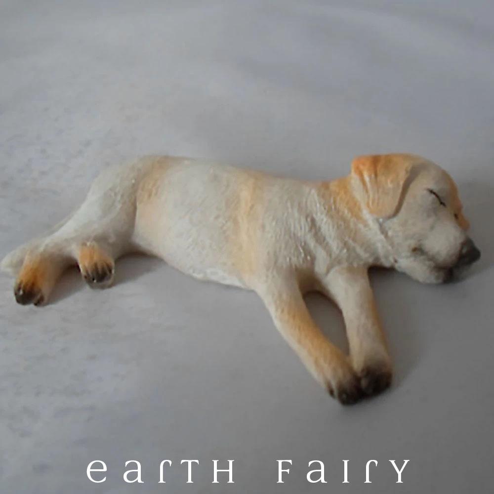 Ben the Sleepy Labrador Fairy Garden Animals Earth Fairy 
