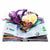 Pop-Up Book Collection