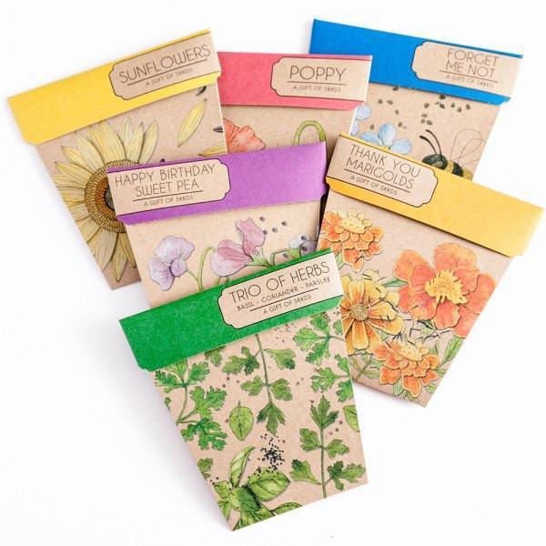 Gift of Seeds Cards