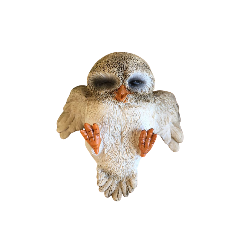 Owl Dozing