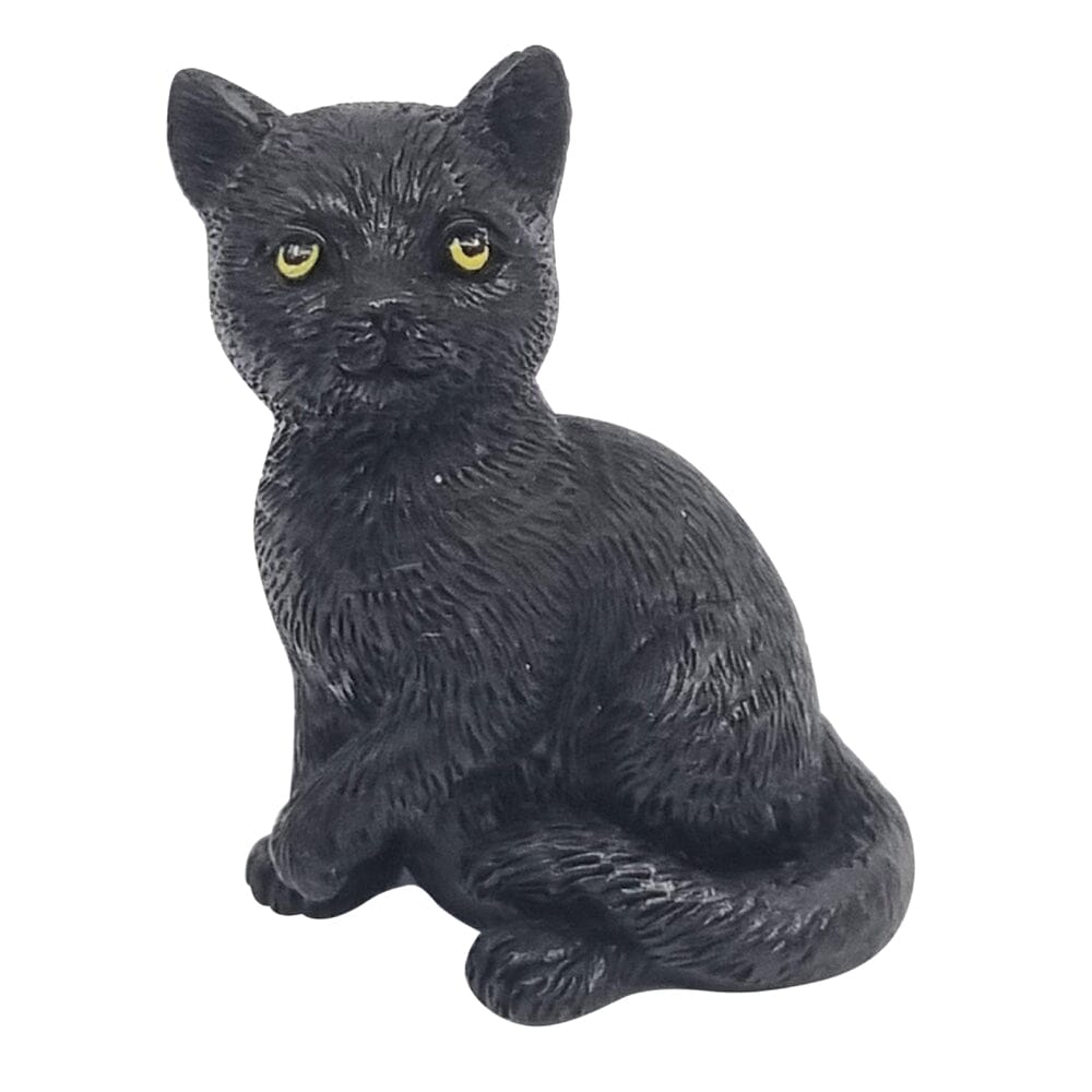 Black Cat Animals The Flower Garden Collection 