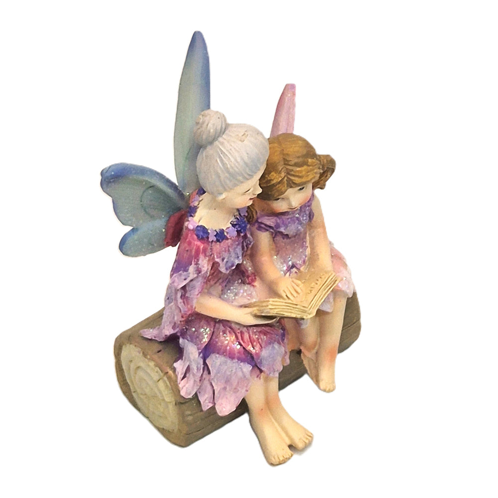 wings on log - Earth Fairy
Overhead view of fairy grandmother reading to granddaughter seated on woodland log