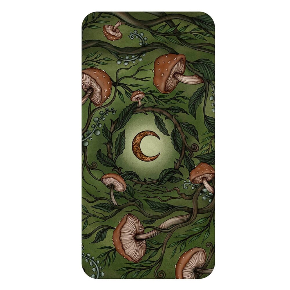 Forest Fae Message Cards Fairy, Oracle &amp; Tarot Cards Earth Fairy 