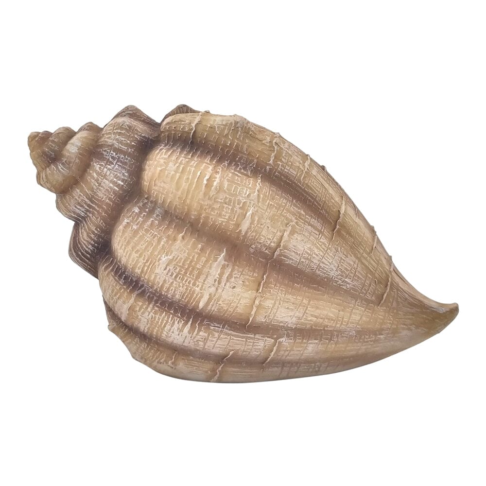 Conch Shell House Fairy Houses The Mystical Mermaid Collection 