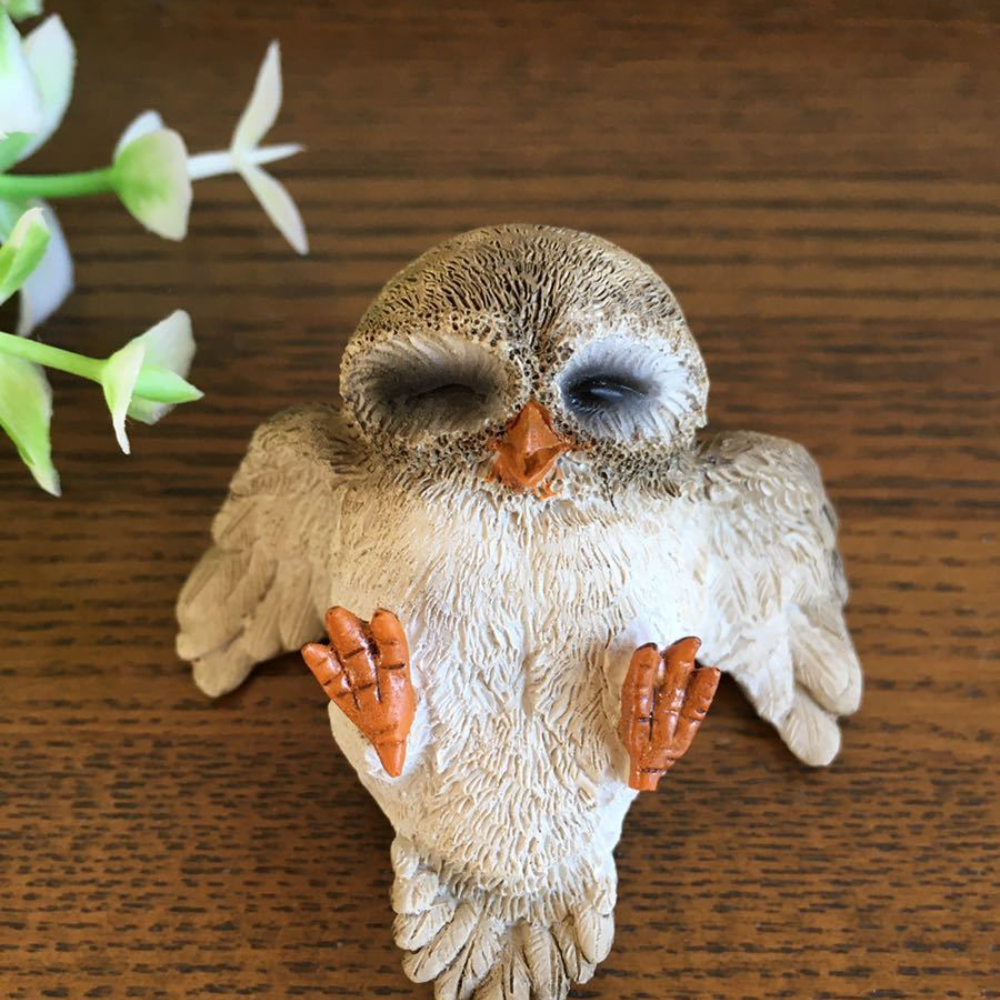 Owl Dozing