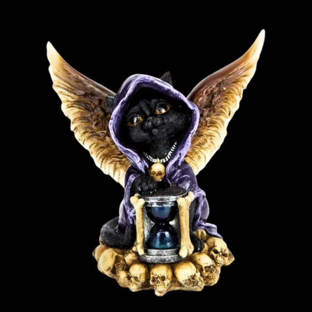 Skull Cat Witch with Wings Gifts & Decor Earth Fairy 