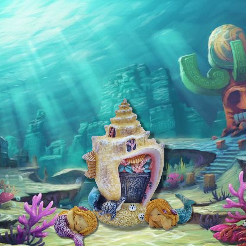 Turtle Shell Conk πππ Miniature Conch Shell House with Turtle from the Mystical Mermaid ...