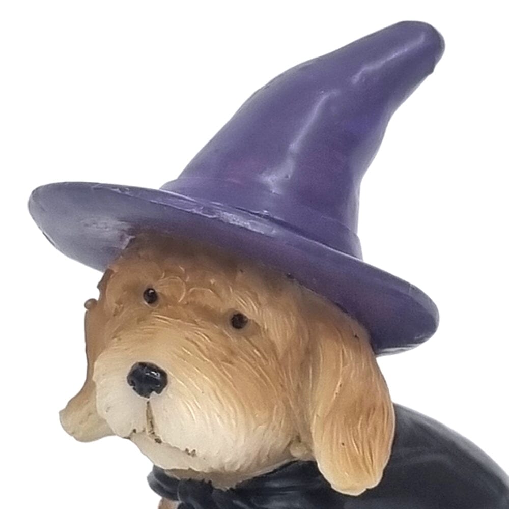 Witch Dog Animals The Flower Garden Collection 