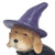 Witch Dog Animals The Flower Garden Collection 