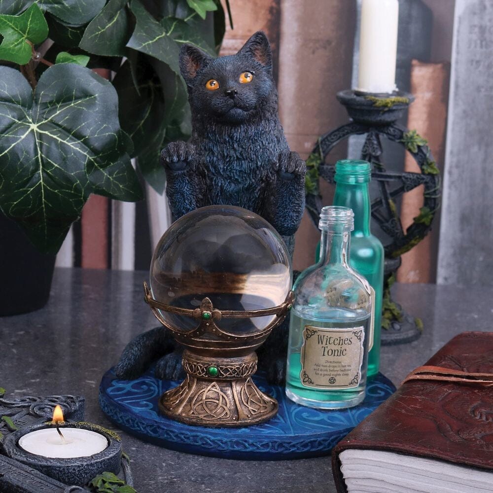 Witch&#39;s Apprentice by Lisa Parker Gifts &amp; Decor Earth Fairy 