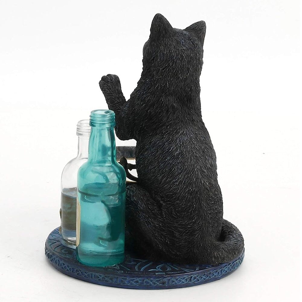 Witch&#39;s Apprentice by Lisa Parker Gifts &amp; Decor Earth Fairy 