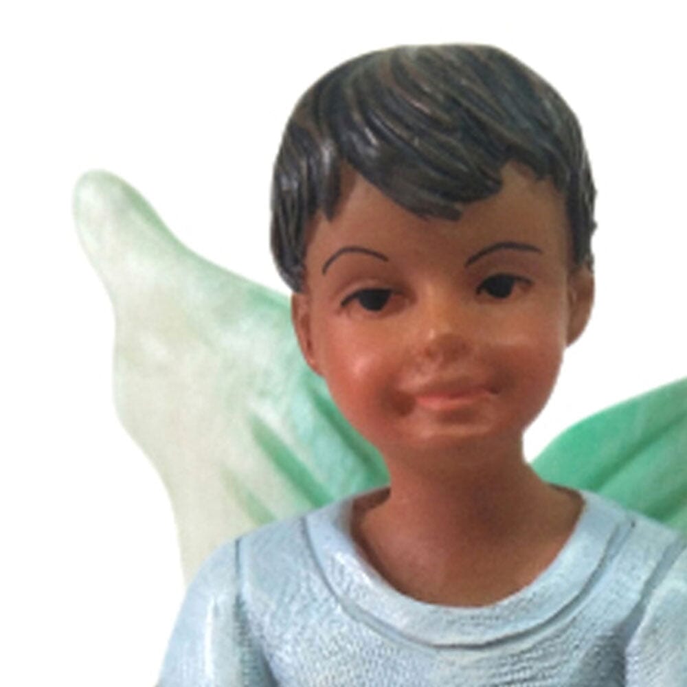 Fairy Liam Fairy Garden Figurines The Willow Collection 