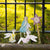 Truly Fairy Treasure Hunt Kit Fairy Party Supplies Earth Fairy 