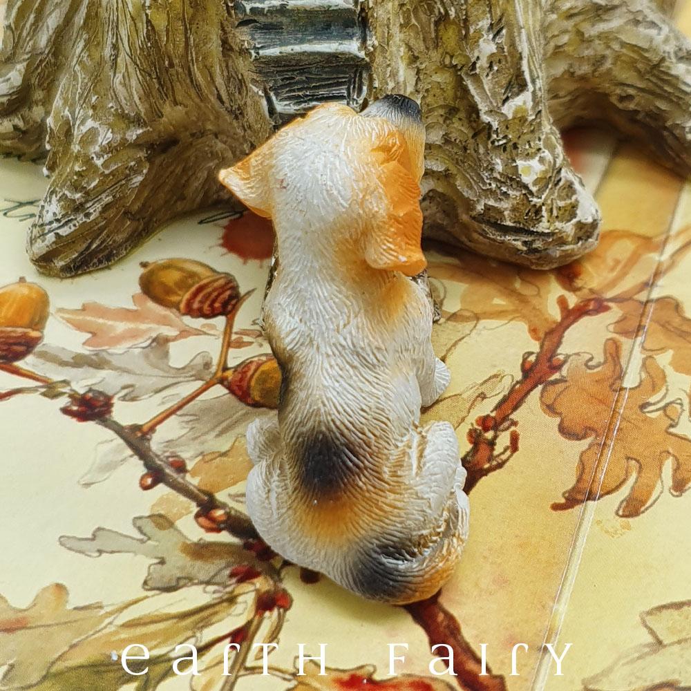 Beagle - Sitting | Fairy Gardens - Australia | Earth Fairy