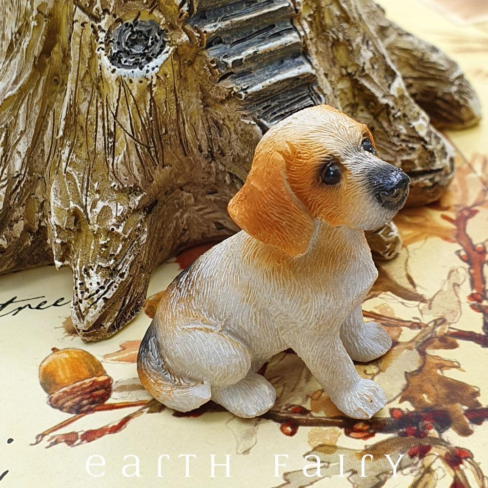 Beagle - Sitting | Fairy Gardens - Australia | Earth Fairy