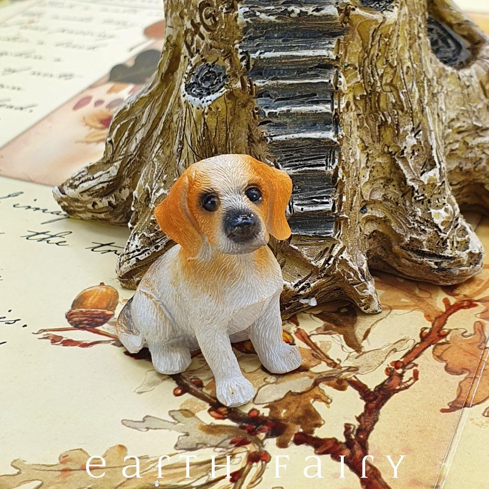 Beagle - Sitting | Fairy Gardens - Australia | Earth Fairy