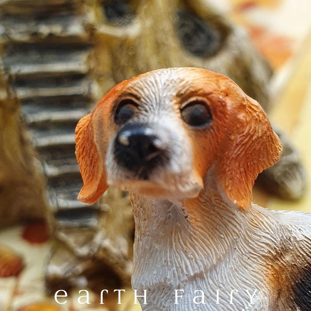 Beagle Standing | Fairy Garden Animals & Miniatures - Australia | Earth Fairy