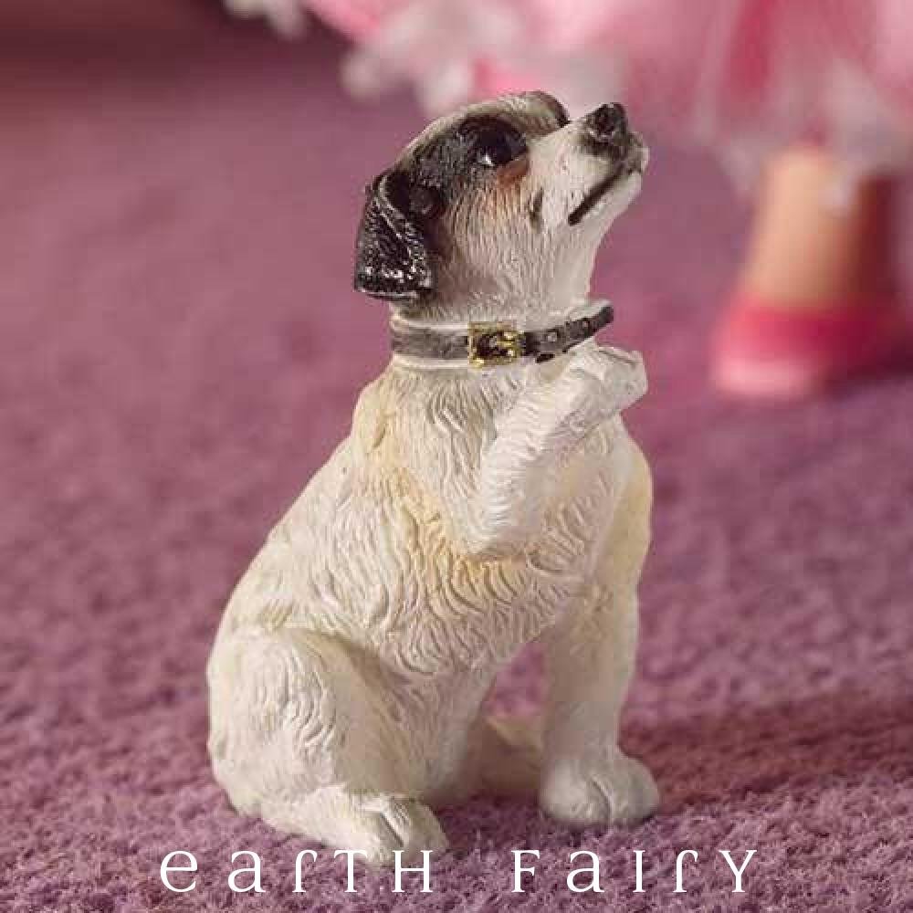 Begging Puppy | Fairy Garden Miniatures | Earth Fairy   