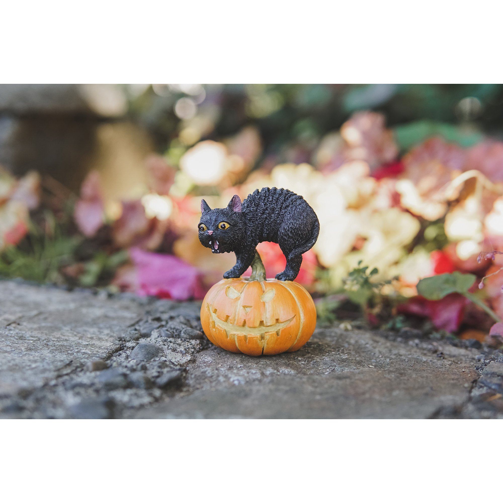 Black Cat on Jack o' Lantern | Fairy Garden Animals - Australia | Earth Fairy