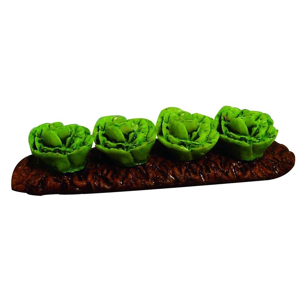 Cabbage Patch | Fairy Garden Accessories | Earth Fairy