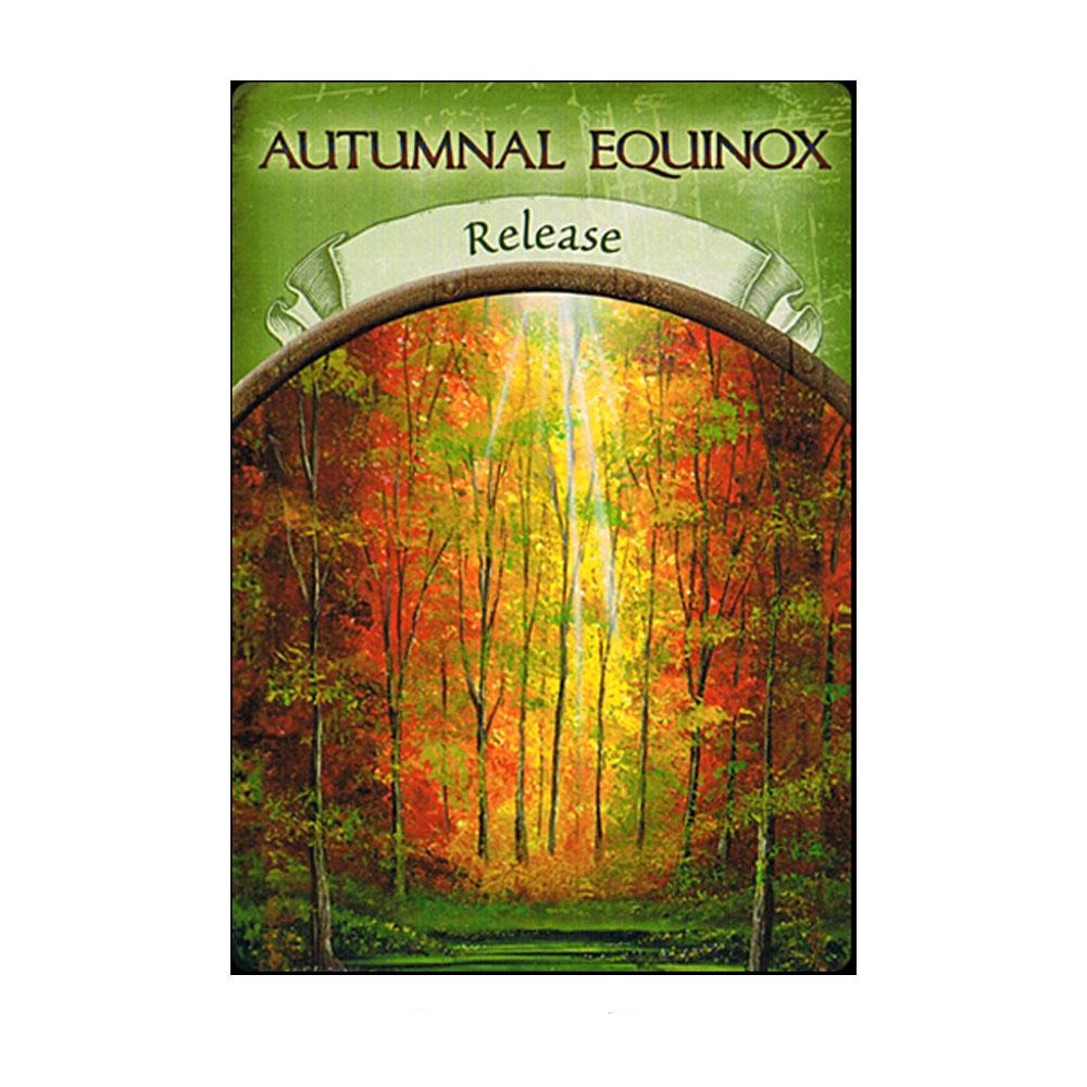 Earth Magic Oracle Cards by Steven D. Farmer - Release Card | Fairy, Tarot &amp; Oracle Cards - Australia | Earth Fairy