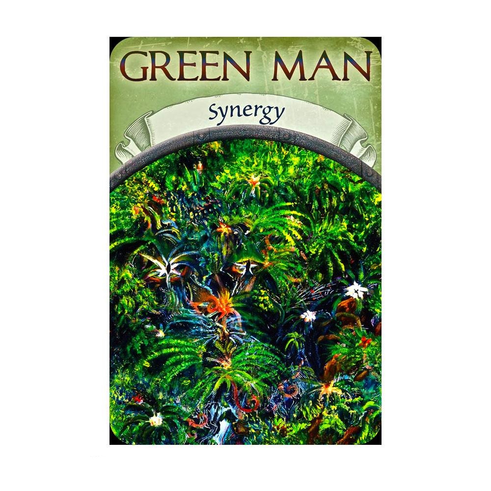 Earth Magic Oracle Cards by Steven D. Farmer - Synergy Card | Fairy, Tarot &amp; Oracle Cards - Australia | Earth Fairy