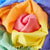 Enchanted Playsilk, 90cm Square in Rainbow, from The Earth Fairy Silk Collection