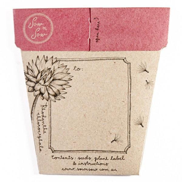 Books & Stationery Everlasting Daisy Gift of Seeds Earth Fairy