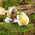 Fairies & Friends Fairy Baby with Frog Earth Fairy