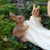 Fairy Bride, a miniature polystone fairy figurine for the garden, wearing a white wedding dress, with bridal train carried by two bunny bridesmaids