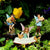 Fairy Musicians Set, a set of three miniature fairy figurines depicted playing instruments