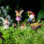 Farm Fairy Set, a set of 6 figurines depicting a fairy farm scene, with Shephard Fairy, Gnome, Farm Fairy and three chicken figurines displayed on a white background