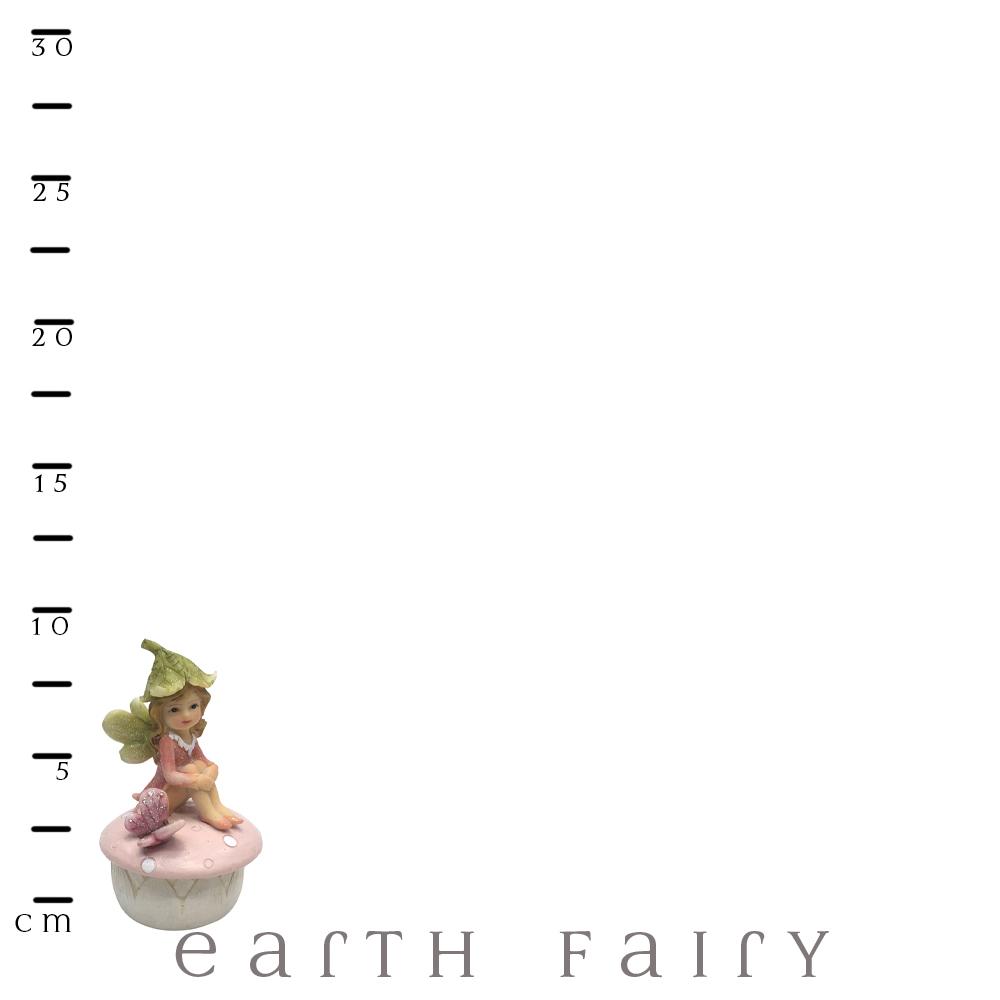 Flower Garden Fairy Tooth Fairy Trinket Box | The Tooth Fairy - Australia | Earth Fairy