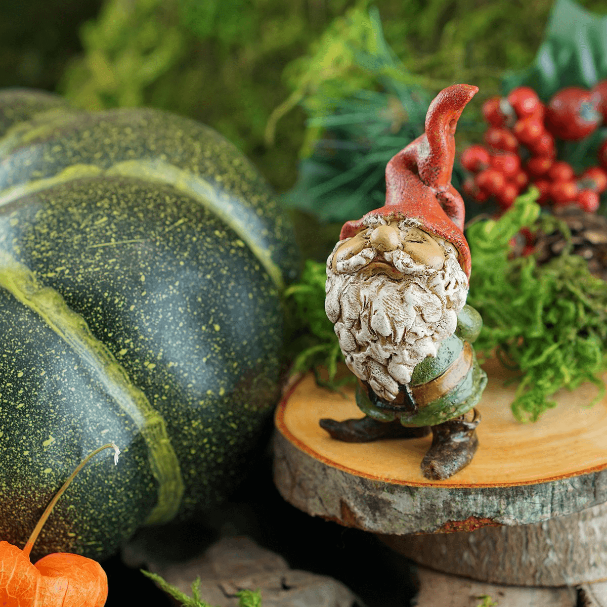 Fairies &amp; Friends Garden Gnome Earth Fairy