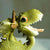 Green Dragon, Happy, a miniature resin dragon figurine
