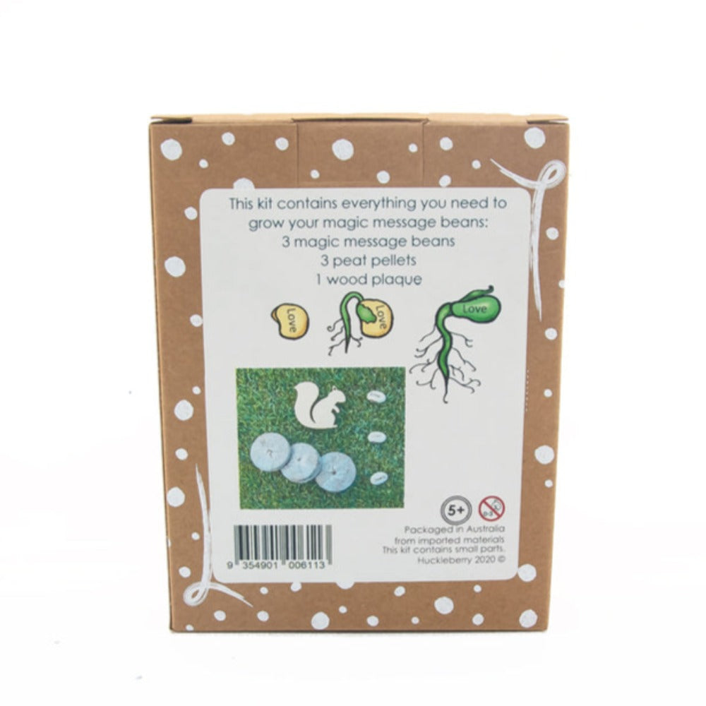 Grow Your Own Magic Message Bean Kit Toys & Play Earth Fairy 