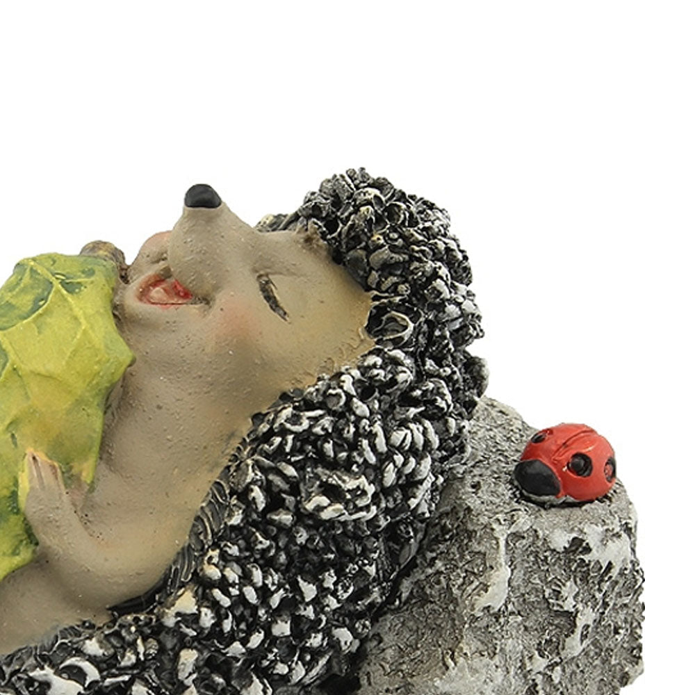 Hedgehog Sleeping Earth Fairy 