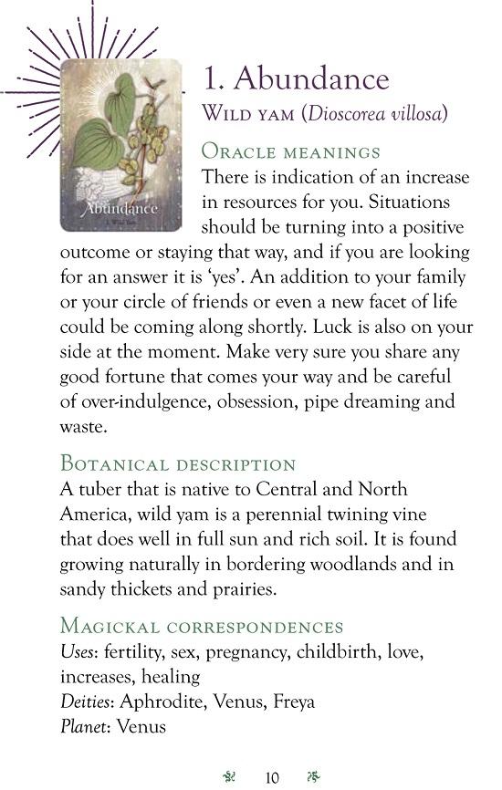 Magickal Herb Oracle Cards Fairy, Oracle &amp; Tarot Cards Earth Fairy 