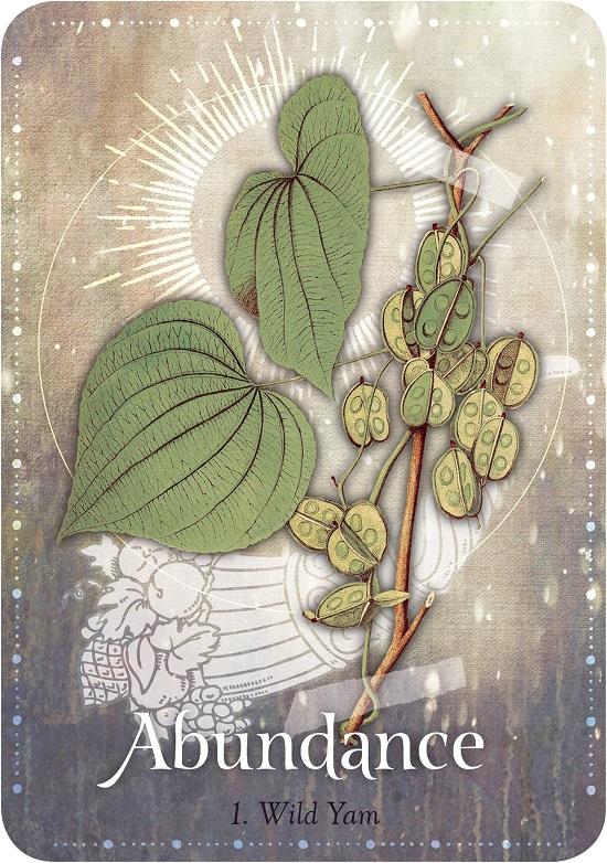 Magickal Herb Oracle Cards Fairy, Oracle &amp; Tarot Cards Earth Fairy 