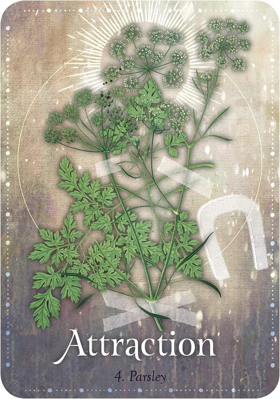 Magickal Herb Oracle Cards Fairy, Oracle &amp; Tarot Cards Earth Fairy 