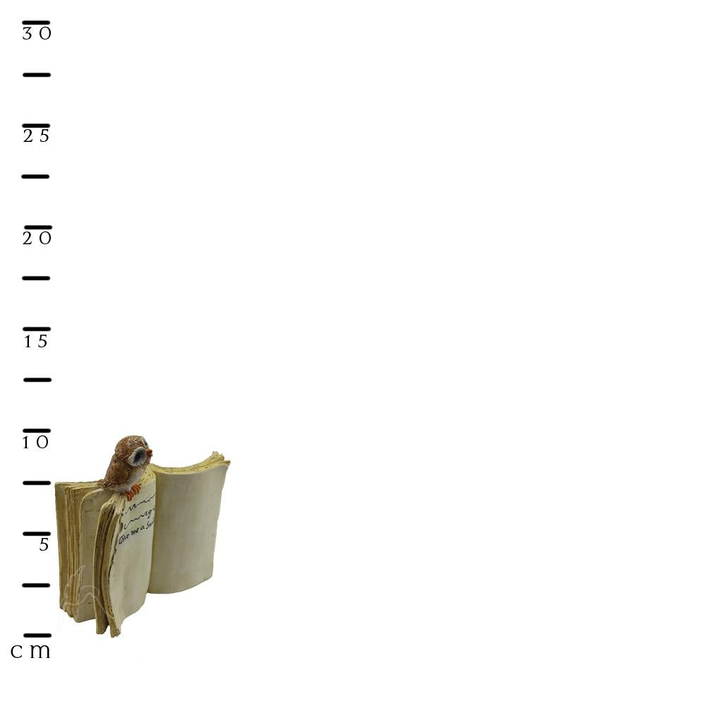 Owl on a Book | Fairy Gardens & Miniatures - Australia | Earth Fairy