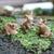 Rabbit Family - Set of 3 Miniature Rabbit Figurines