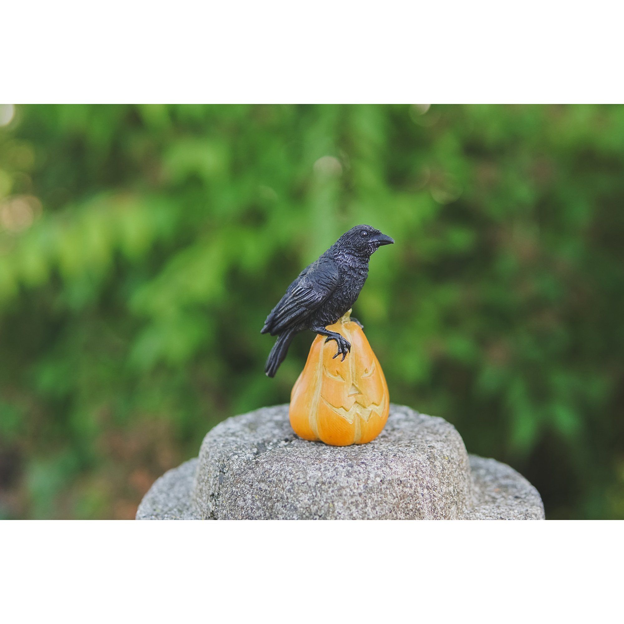 Raven on Jack o' Lantern | Fairy Garden Animals - Australia | Earth Fairy