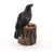 Raven with Key on Tree Stump | Fairy Gardens - Australia | Earth Fairy