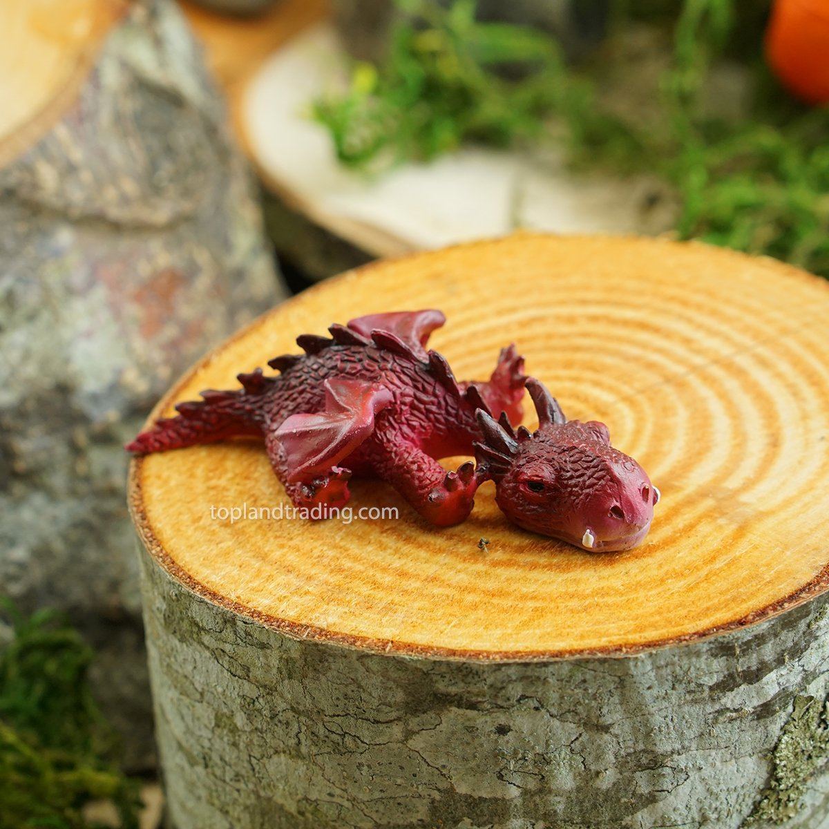 Red Dragon - Sleeping | Fairy Gardens - Australia | Earth fairy