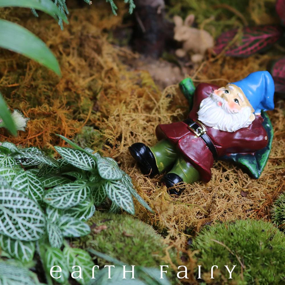 Resting Gnome from The Miniature Fairy Garden Gnome Collection by Earth Fairy