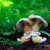 Shroom Babies Sleeping | Fairy Garden Figurines - Australia | Earth Fairy