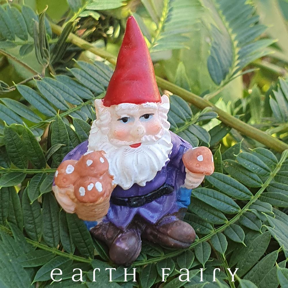 sitting miniature polyresin gnome, dressed in brown boots, blue pants, purple coat and red pointy hat, holding a pot of mushrooms