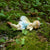 Fairies & Friends Sleeping Flower Fairy Earth Fairy