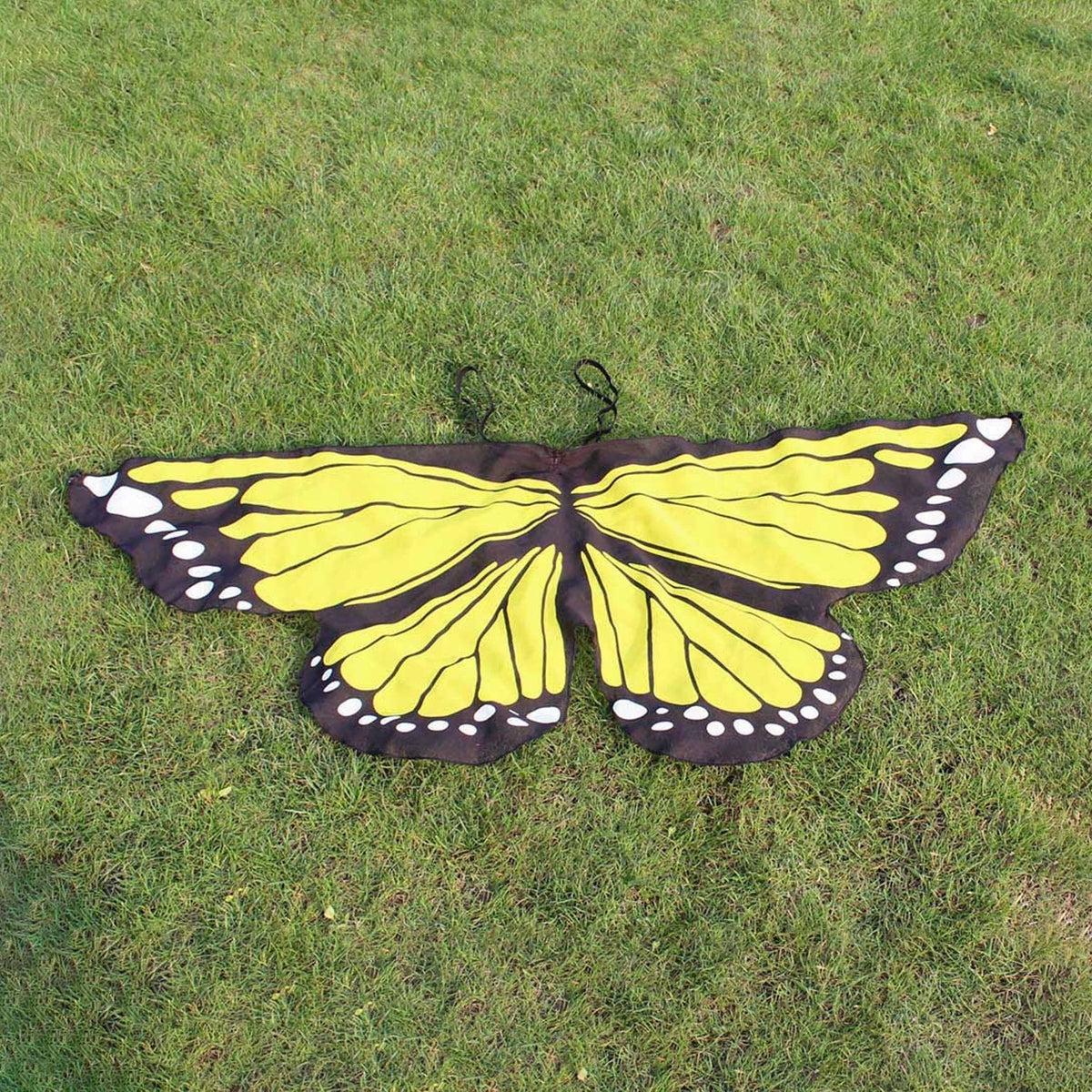 Soft Yellow Butterfly Wings Fairy Costumes, Wings &amp; Wands Earth Fairy 